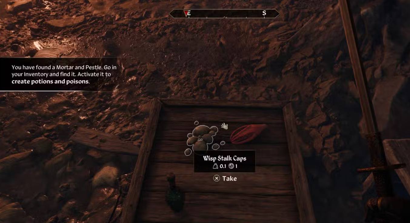 Oblivion Remastered Alchemy Complete Guide